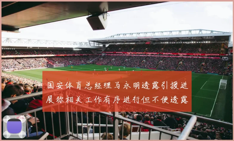 国安体育总经理马永明透露引援进展称相关工作有序进行但不便透露名字